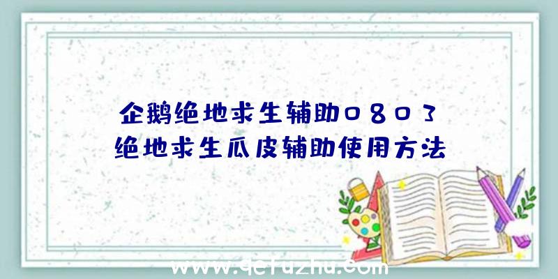 「企鹅绝地求生辅助0803」|绝地求生瓜皮辅助使用方法